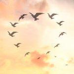 Profile picture of Hillary